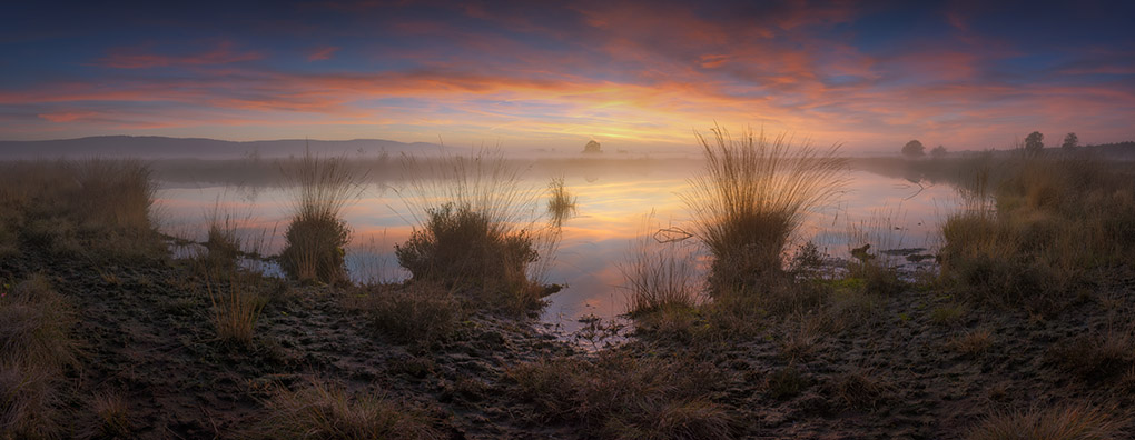 Abendnebel über dem großen Torfmoor