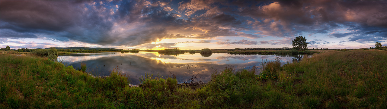 Ein Sommerabend im großen Torfmoor