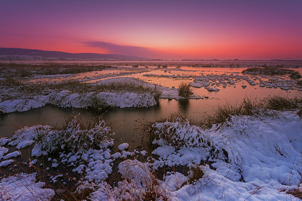 Das große Torfmoor im Winter