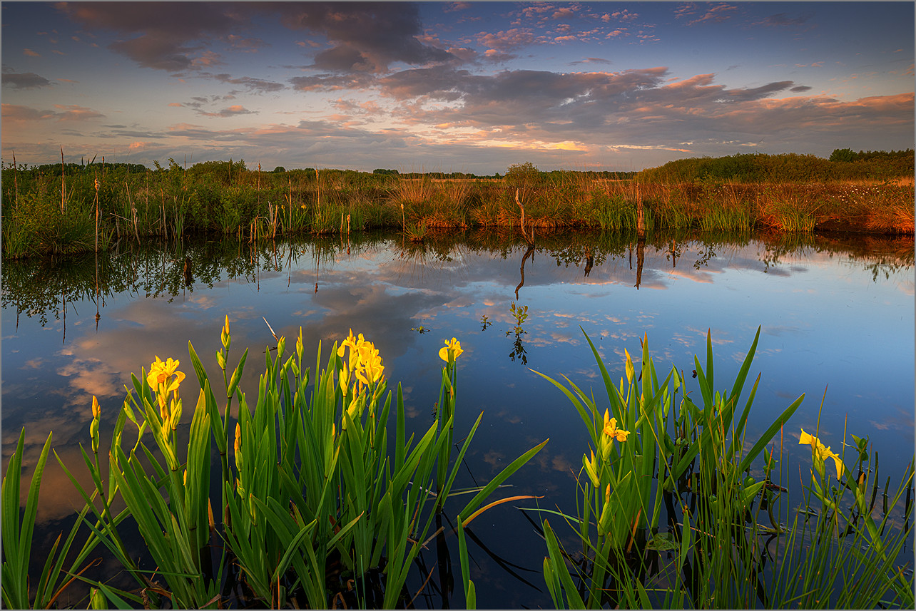 Aktueller Wasserstand im Großen Torfmoor
