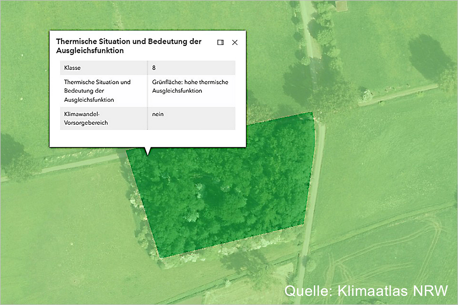 Waldfläche mit hoher thermischer Ausgleichsfunktion Das Große Torfmoor im Klimaatlas NRW