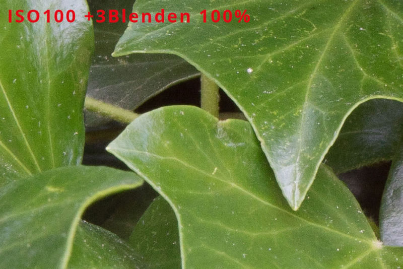 ISOloser Sensor ISO 100 +3 Blenden 