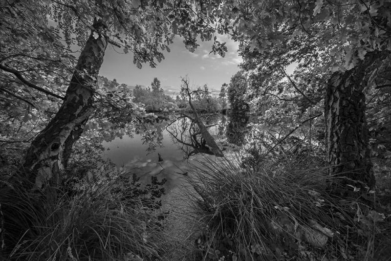 ISOloser Sensor ISO100 RAW korrigiert SW