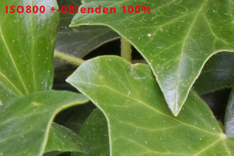 ISOloser Sensor ISO 800 +-0 Blenden 