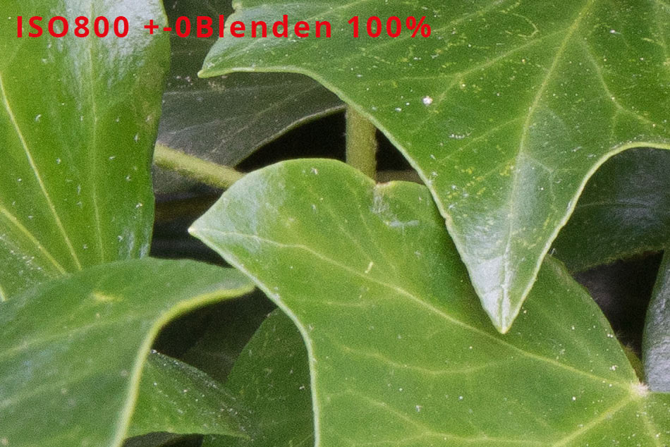 ISOloser Sensor ISO 800 +-0 Blenden 