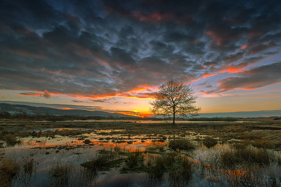 Landschaftsfotografie in der blauen Stunde