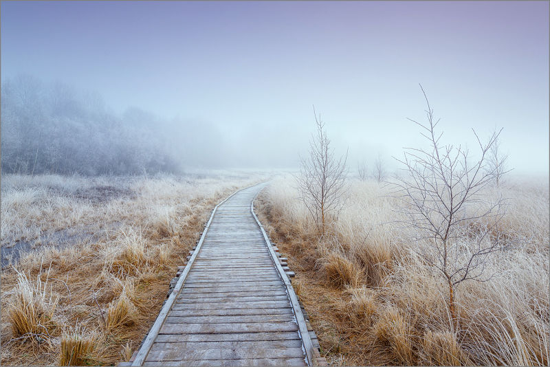 Landschaftsfotografie: Raureif und Nebel.