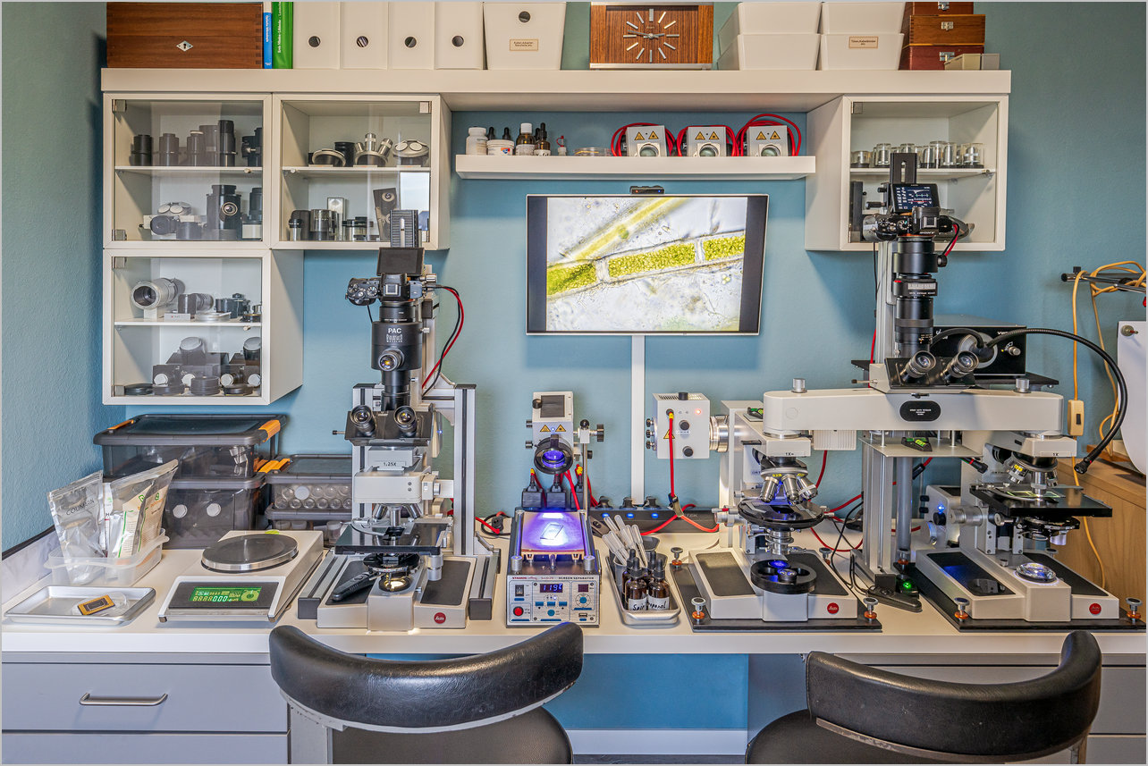 Mikrofotografie: Diverse Leitz Ortholux II mit Kamera-Adaption.