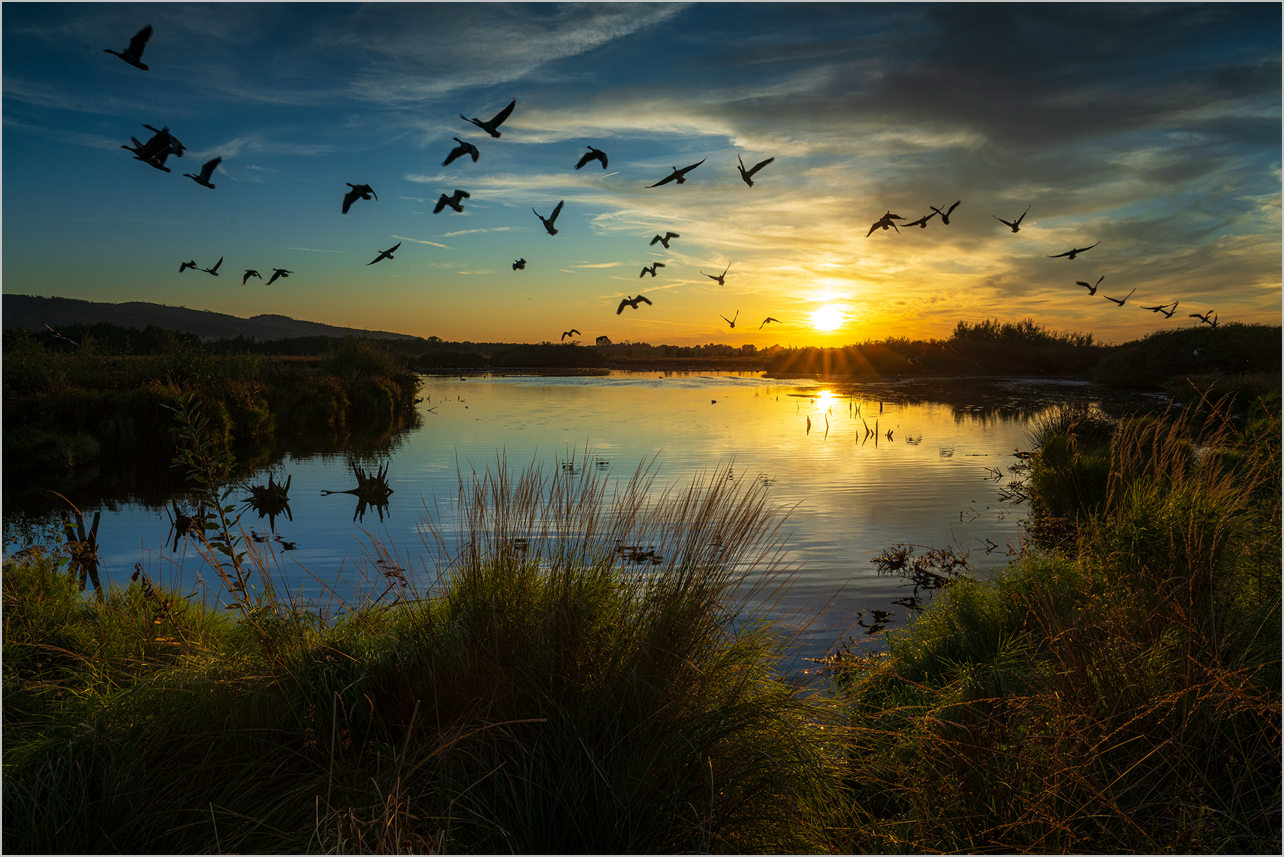 Naturschutz- oder Jagdgebiet? 