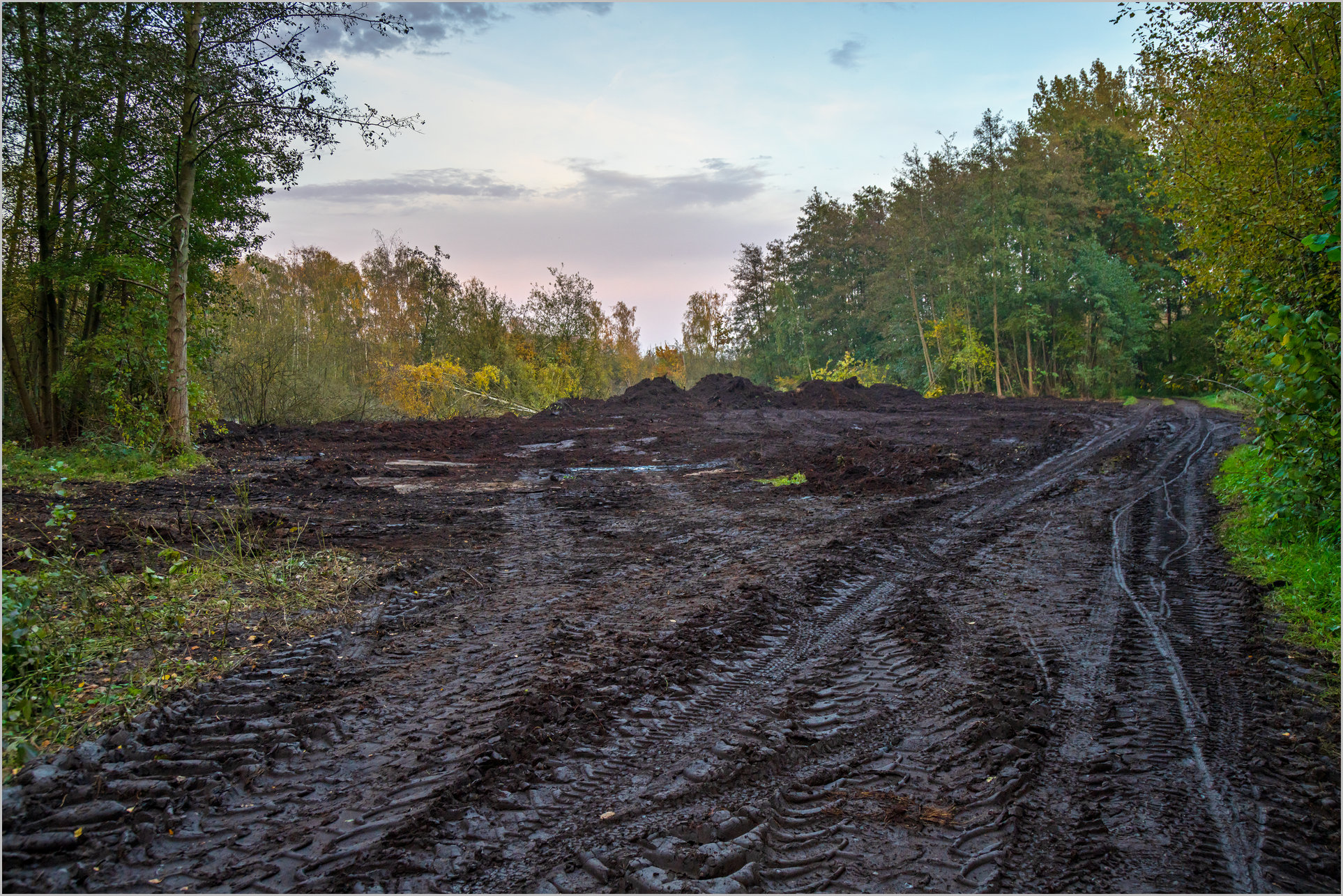 Zerstörungen im östlichen großen Torfmoor Zerstörungen im östlichen großen Torfmoor