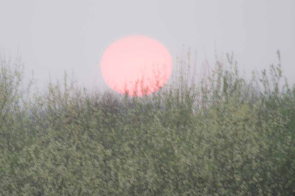 Direkt aus der Kamera kann auch daneben gehen.