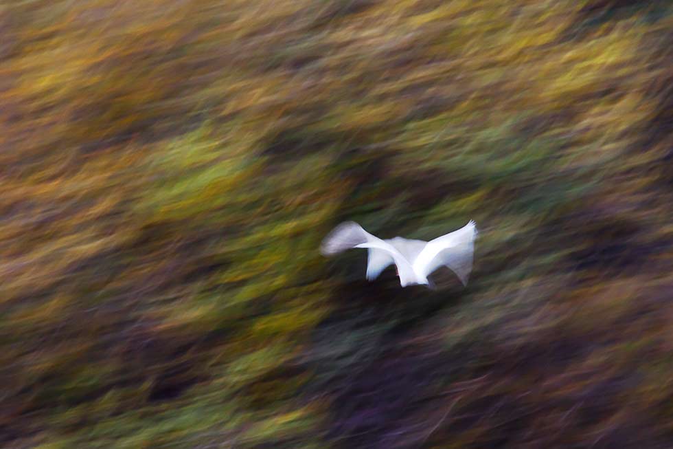 Kunst entsteht immer im Auge des Betrachters.