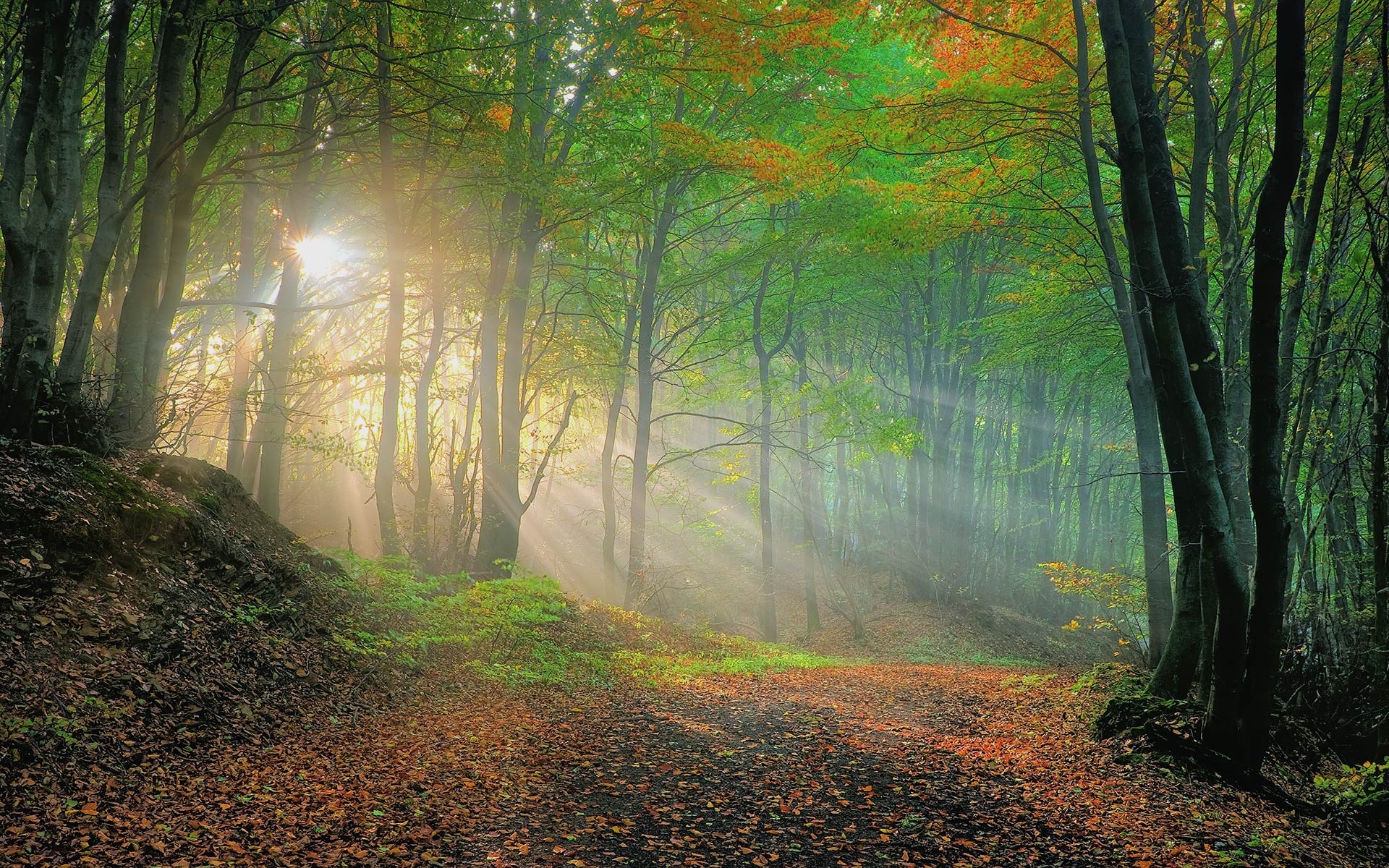 Wiehengebirge im Herbst.