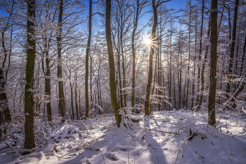 Schnee im Wiehengebirge