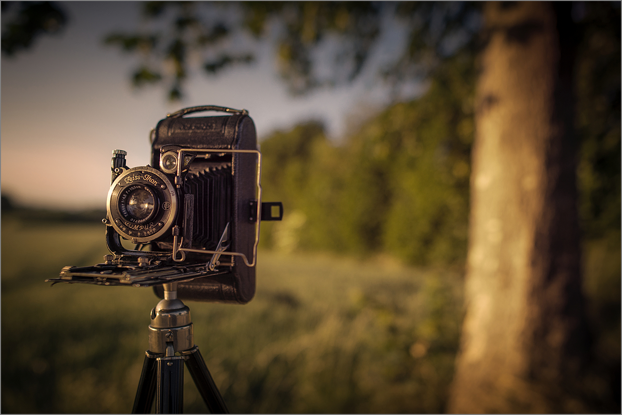 Analoge Fotografie: Zeiss Icarette, BJ 1931 mit passenden Bokeh.