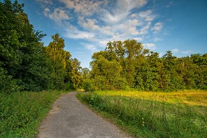 Bastauwiesen und Moor Nr 10