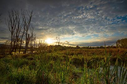 Bastauwiesen und Moor Nr 101