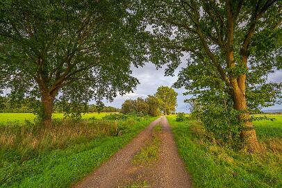 Bastauwiesen und Moor Nr 105