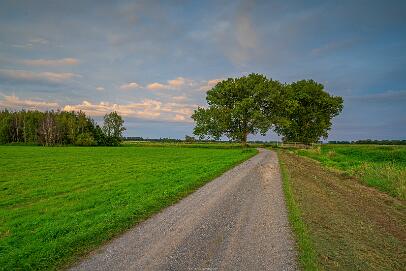 Bastauwiesen und Moor Nr 106