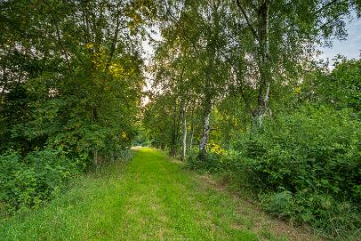 Bastauwiesen und Moor Nr 14