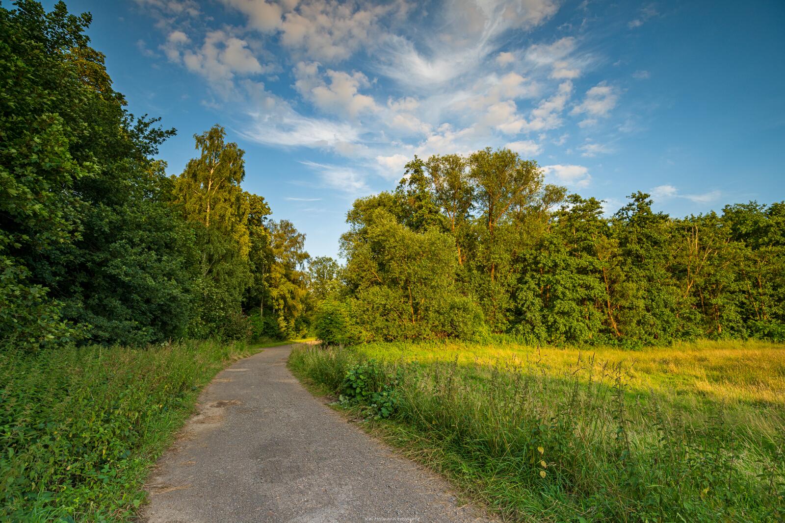 Biologisch und Ortsklima/Mikroklima relevante Bäume, Waldgebiete, Bruchwälder, Wasserflächen und Übergangsbereiche in den Naturschutzgebieten Bastauwiesen und Großes Torfmoor im Kreis Minden-Lübbecke, NRW. Bastauwiesen und Großes Torfmoor. Fotos: Stand 2024.