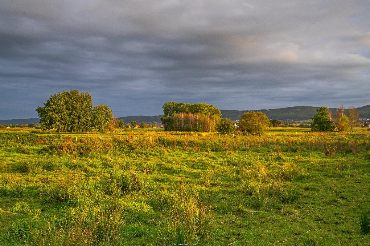 Biologisch und Ortsklima/Mikroklima relevante Bäume, Waldgebiete, Bruchwälder, Wasserflächen und Übergangsbereiche in den Naturschutzgebieten Bastauwiesen und Großes Torfmoor im Kreis Minden-Lübbecke, NRW. Bastauwiesen und Großes Torfmoor. Fotos: Stand 2024.