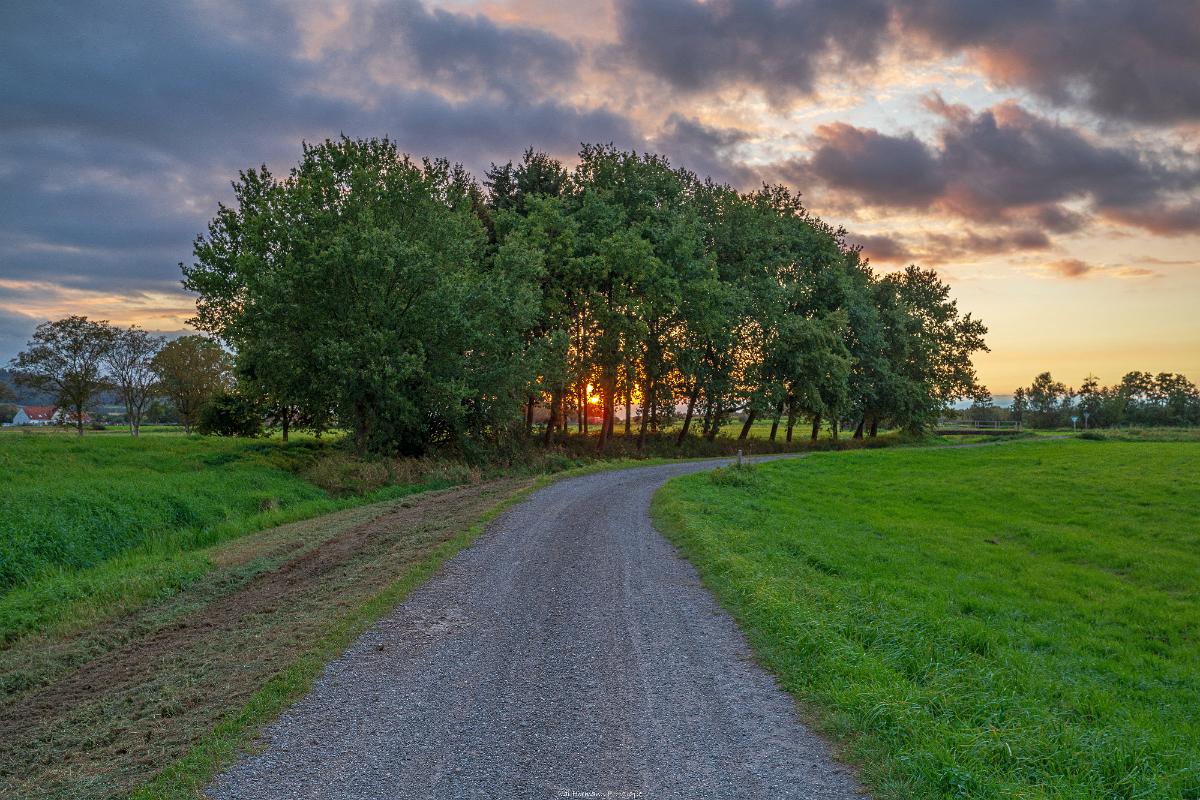 Biologisch und Ortsklima/Mikroklima relevante Bäume, Waldgebiete, Bruchwälder, Wasserflächen und Übergangsbereiche in den Naturschutzgebieten Bastauwiesen und Großes Torfmoor im Kreis Minden-Lübbecke, NRW. Bastauwiesen und Großes Torfmoor. Fotos: Stand 2024.