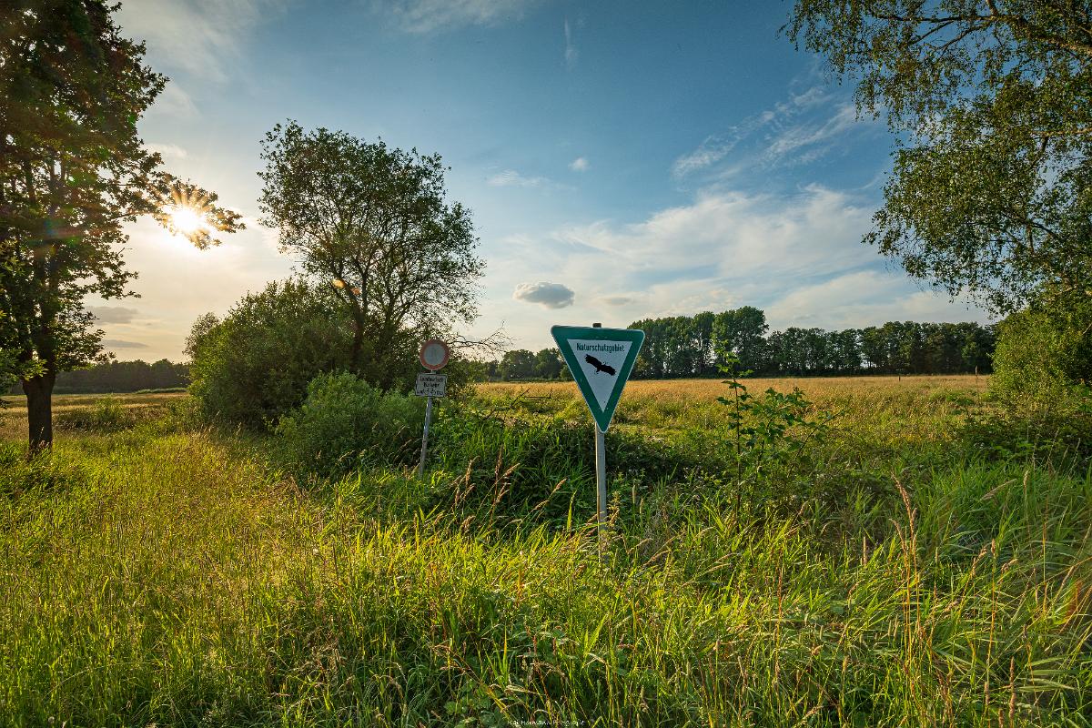Biologisch und Ortsklima/Mikroklima relevante Bäume, Waldgebiete, Bruchwälder, Wasserflächen und Übergangsbereiche in den Naturschutzgebieten Bastauwiesen und Großes Torfmoor im Kreis Minden-Lübbecke, NRW. Bastauwiesen und Großes Torfmoor. Fotos: Stand 2024.