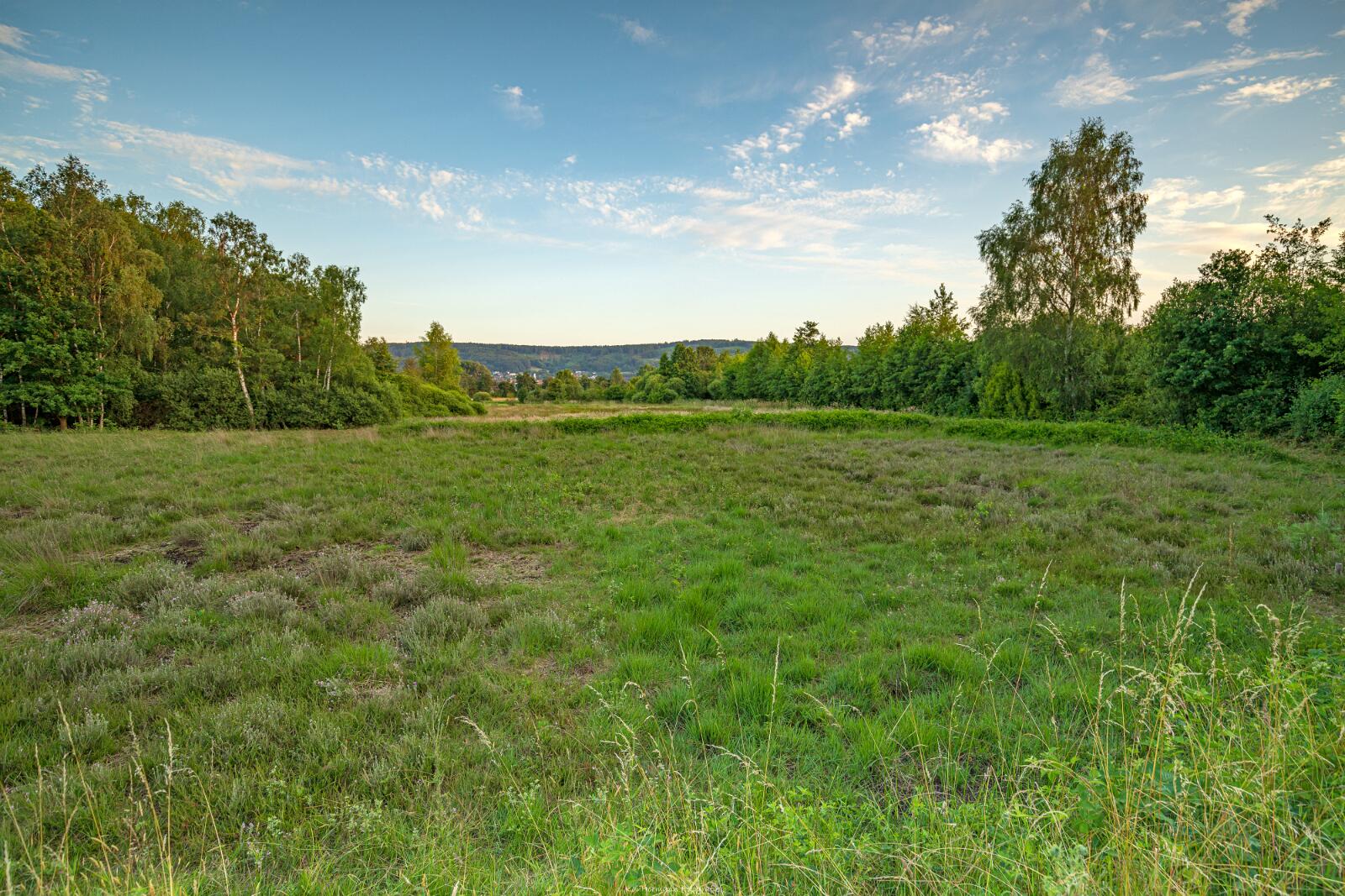 Biologisch und Ortsklima/Mikroklima relevante Bäume, Waldgebiete, Bruchwälder, Wasserflächen und Übergangsbereiche in den Naturschutzgebieten Bastauwiesen und Großes Torfmoor im Kreis Minden-Lübbecke, NRW. Bastauwiesen und Großes Torfmoor. Fotos: Stand 2024.