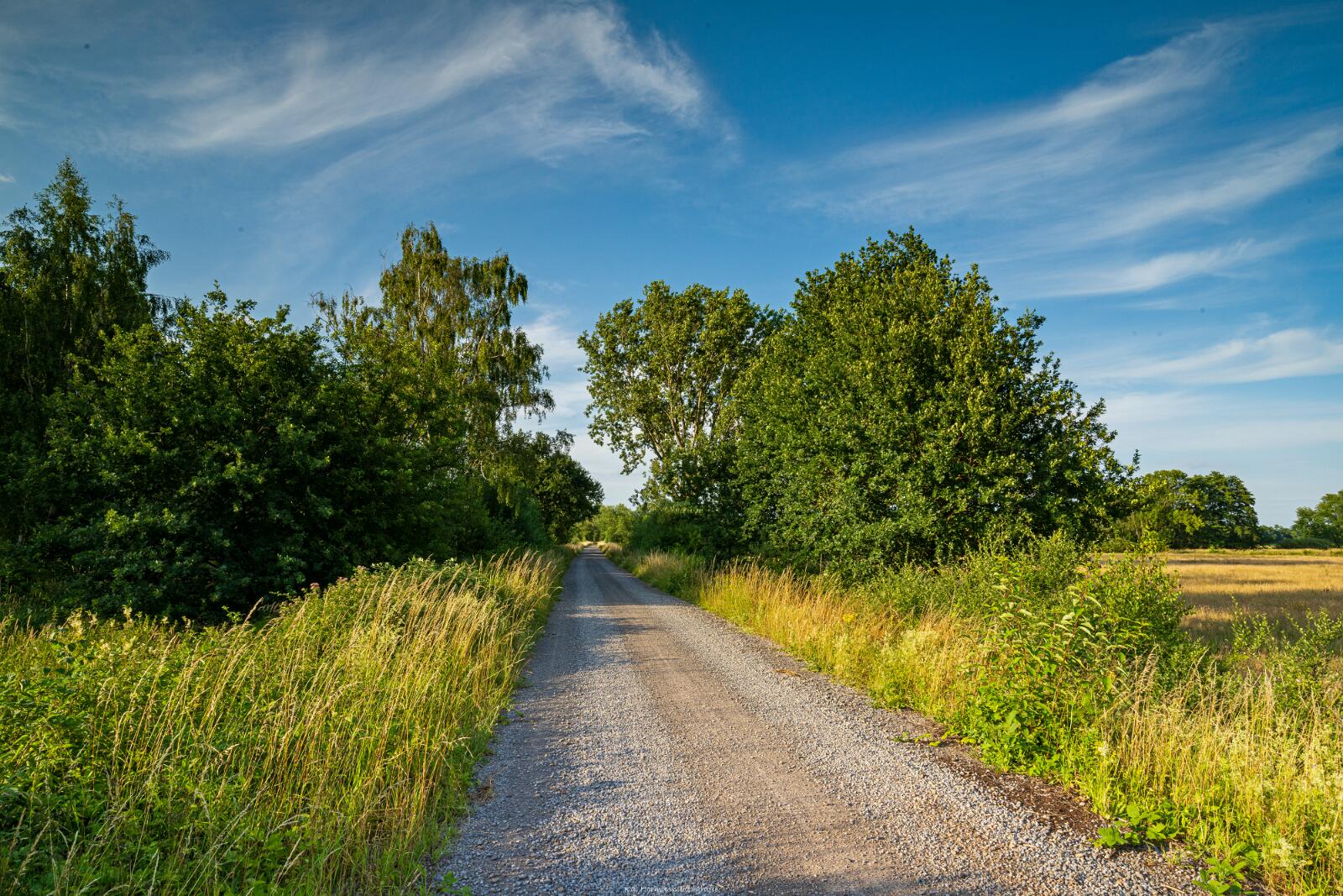 Biologisch und Ortsklima/Mikroklima relevante Bäume, Waldgebiete, Bruchwälder, Wasserflächen und Übergangsbereiche in den Naturschutzgebieten Bastauwiesen und Großes Torfmoor im Kreis Minden-Lübbecke, NRW. Bastauwiesen und Großes Torfmoor. Fotos: Stand 2024.