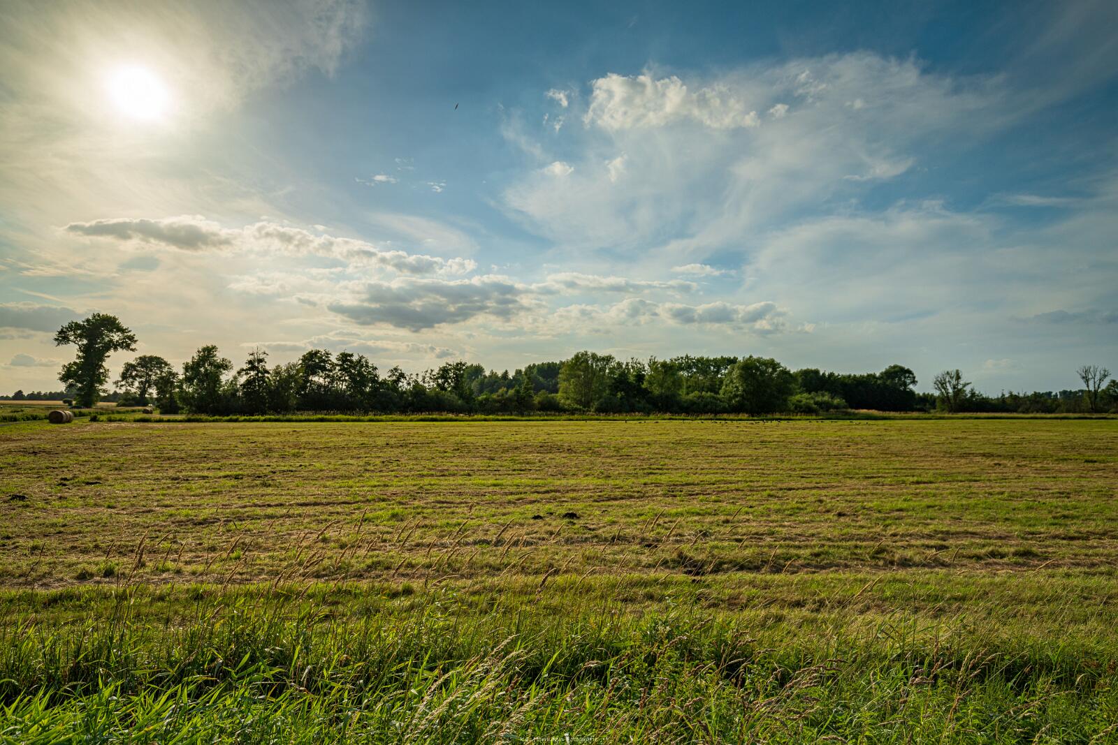 Biologisch und Ortsklima/Mikroklima relevante Bäume, Waldgebiete, Bruchwälder, Wasserflächen und Übergangsbereiche in den Naturschutzgebieten Bastauwiesen und Großes Torfmoor im Kreis Minden-Lübbecke, NRW. Bastauwiesen und Großes Torfmoor. Fotos: Stand 2024.
