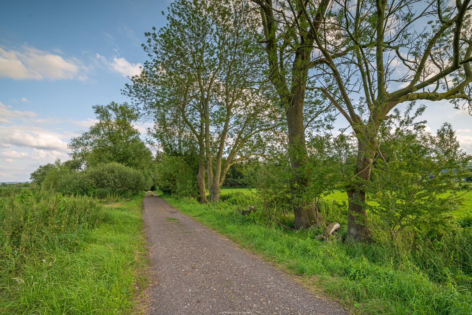 Biologisch und Ortsklima/Mikroklima relevante Bäume, Waldgebiete, Bruchwälder, Wasserflächen und Übergangsbereiche in den Naturschutzgebieten Bastauwiesen und Großes Torfmoor im Kreis Minden-Lübbecke, NRW. Bastauwiesen und Großes Torfmoor. Fotos: Stand 2024.