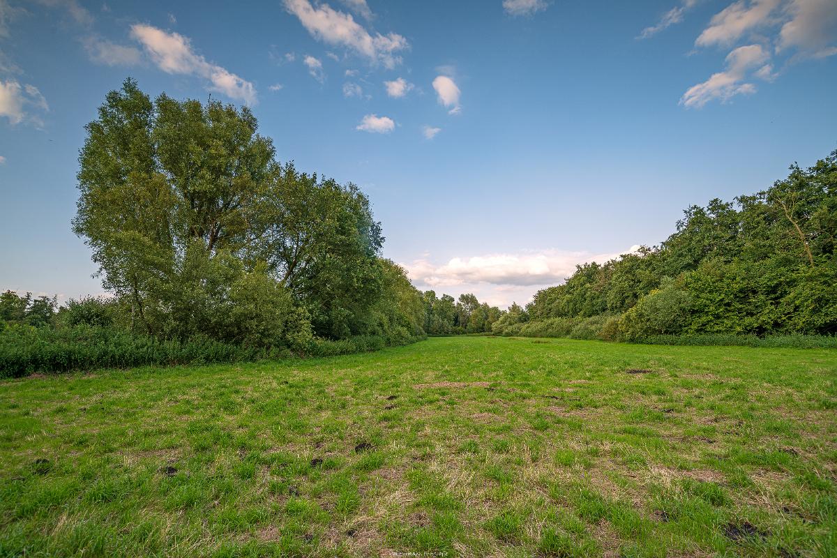 Biologisch und Ortsklima/Mikroklima relevante Bäume, Waldgebiete, Bruchwälder, Wasserflächen und Übergangsbereiche in den Naturschutzgebieten Bastauwiesen und Großes Torfmoor im Kreis Minden-Lübbecke, NRW. Bastauwiesen und Großes Torfmoor. Fotos: Stand 2024.