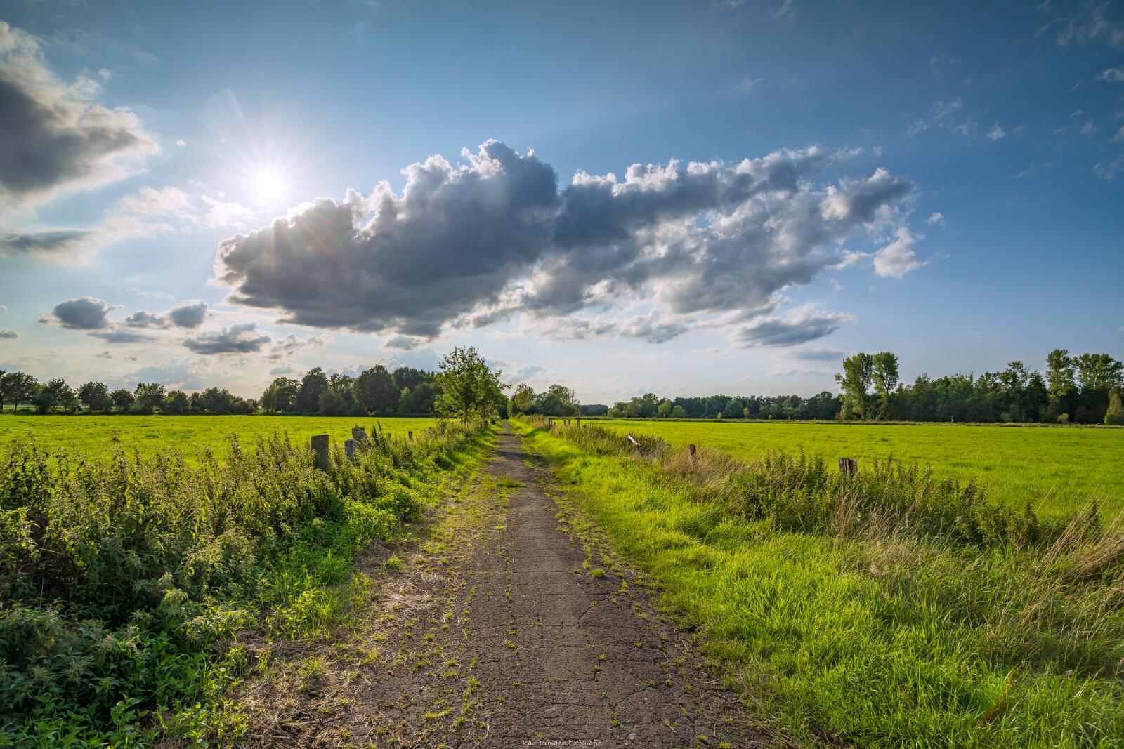 Biologisch und Ortsklima/Mikroklima relevante Bäume, Waldgebiete, Bruchwälder, Wasserflächen und Übergangsbereiche in den Naturschutzgebieten Bastauwiesen und Großes Torfmoor im Kreis Minden-Lübbecke, NRW. Bastauwiesen und Großes Torfmoor. Fotos: Stand 2024.