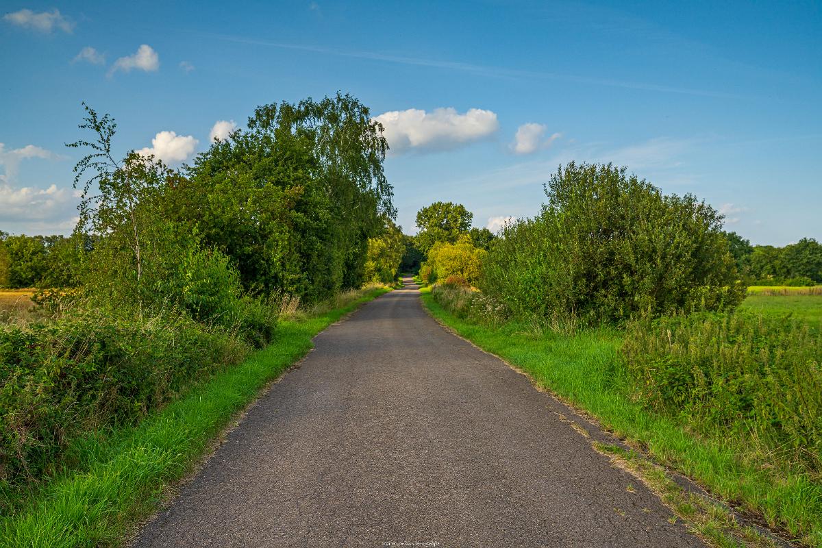 Biologisch und Ortsklima/Mikroklima relevante Bäume, Waldgebiete, Bruchwälder, Wasserflächen und Übergangsbereiche in den Naturschutzgebieten Bastauwiesen und Großes Torfmoor im Kreis Minden-Lübbecke, NRW. Bastauwiesen und Großes Torfmoor. Fotos: Stand 2024.