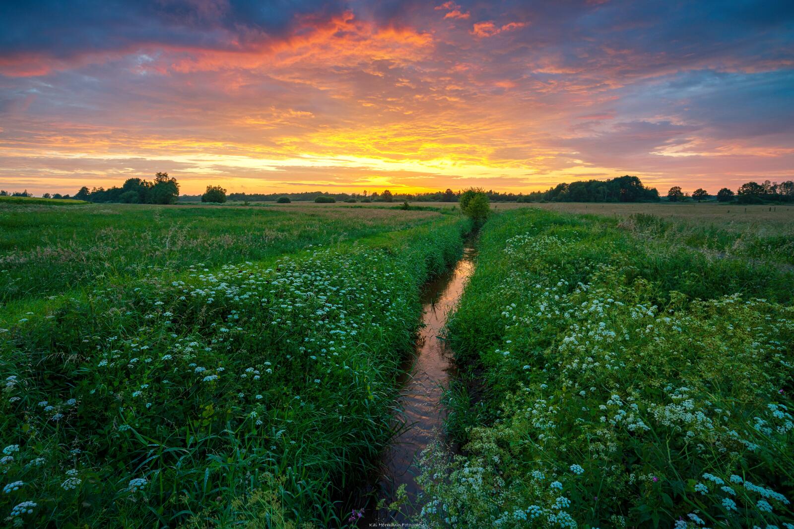 Biologisch und Ortsklima/Mikroklima relevante Bäume, Waldgebiete, Bruchwälder, Wasserflächen und Übergangsbereiche in den Naturschutzgebieten Bastauwiesen und Großes Torfmoor im Kreis Minden-Lübbecke, NRW. Bastauwiesen und Großes Torfmoor. Fotos: Stand 2024.