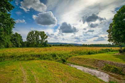 Biologisch und Ortsklima/Mikroklima relevante Bäume, Waldgebiete, Bruchwälder, Wasserflächen und Übergangsbereiche in den Naturschutzgebieten Bastauwiesen und Großes Torfmoor im Kreis Minden-Lübbecke, NRW. Bastauwiesen und Großes Torfmoor. Fotos: Stand 2024.