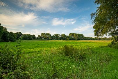 Biologisch und Ortsklima/Mikroklima relevante Bäume, Waldgebiete, Bruchwälder, Wasserflächen und Übergangsbereiche in den Naturschutzgebieten Bastauwiesen und Großes Torfmoor im Kreis Minden-Lübbecke, NRW. Bastauwiesen und Großes Torfmoor. Fotos: Stand 2024.