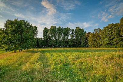 Biologisch und Ortsklima/Mikroklima relevante Bäume, Waldgebiete, Bruchwälder, Wasserflächen und Übergangsbereiche in den Naturschutzgebieten Bastauwiesen und Großes Torfmoor im Kreis Minden-Lübbecke, NRW. Bastauwiesen und Großes Torfmoor. Fotos: Stand 2024.