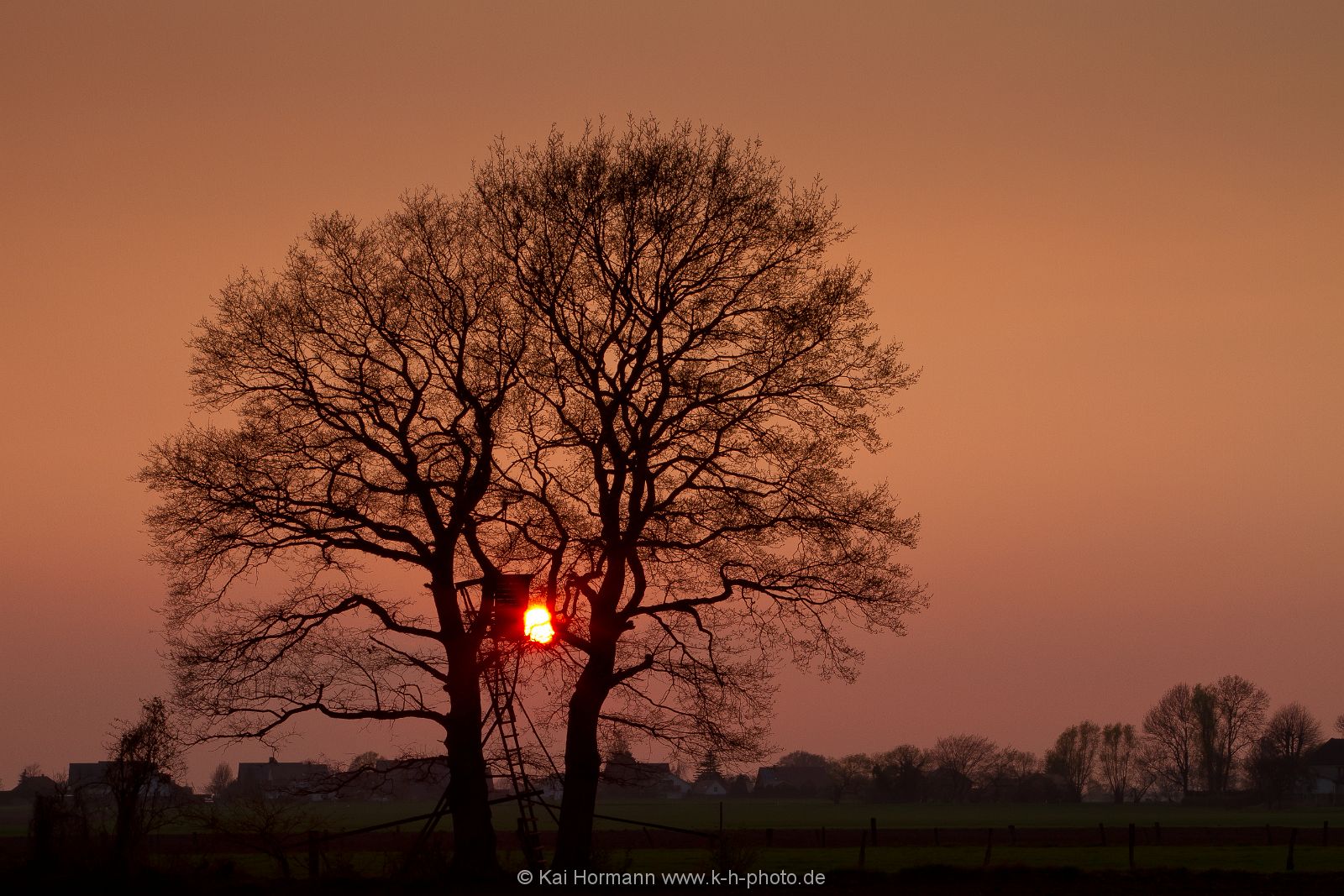 abendlicht-am-baum-2 Diverse Natur und Landschaftsfotos.