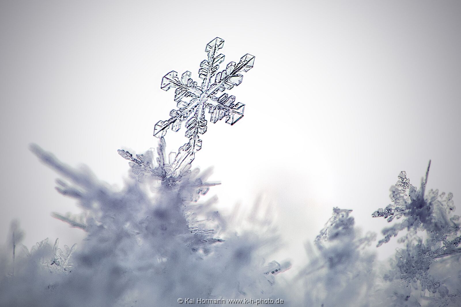 der-erste-schnee Diverse Natur und Landschaftsfotos.