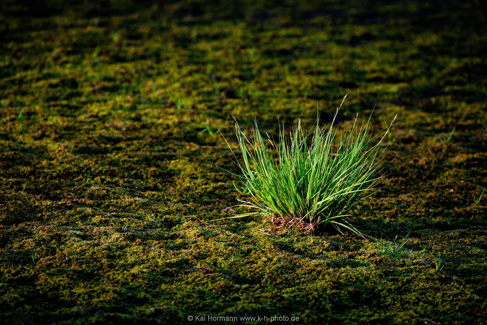 diverses-014 Diverse Natur und Landschaftsfotos.