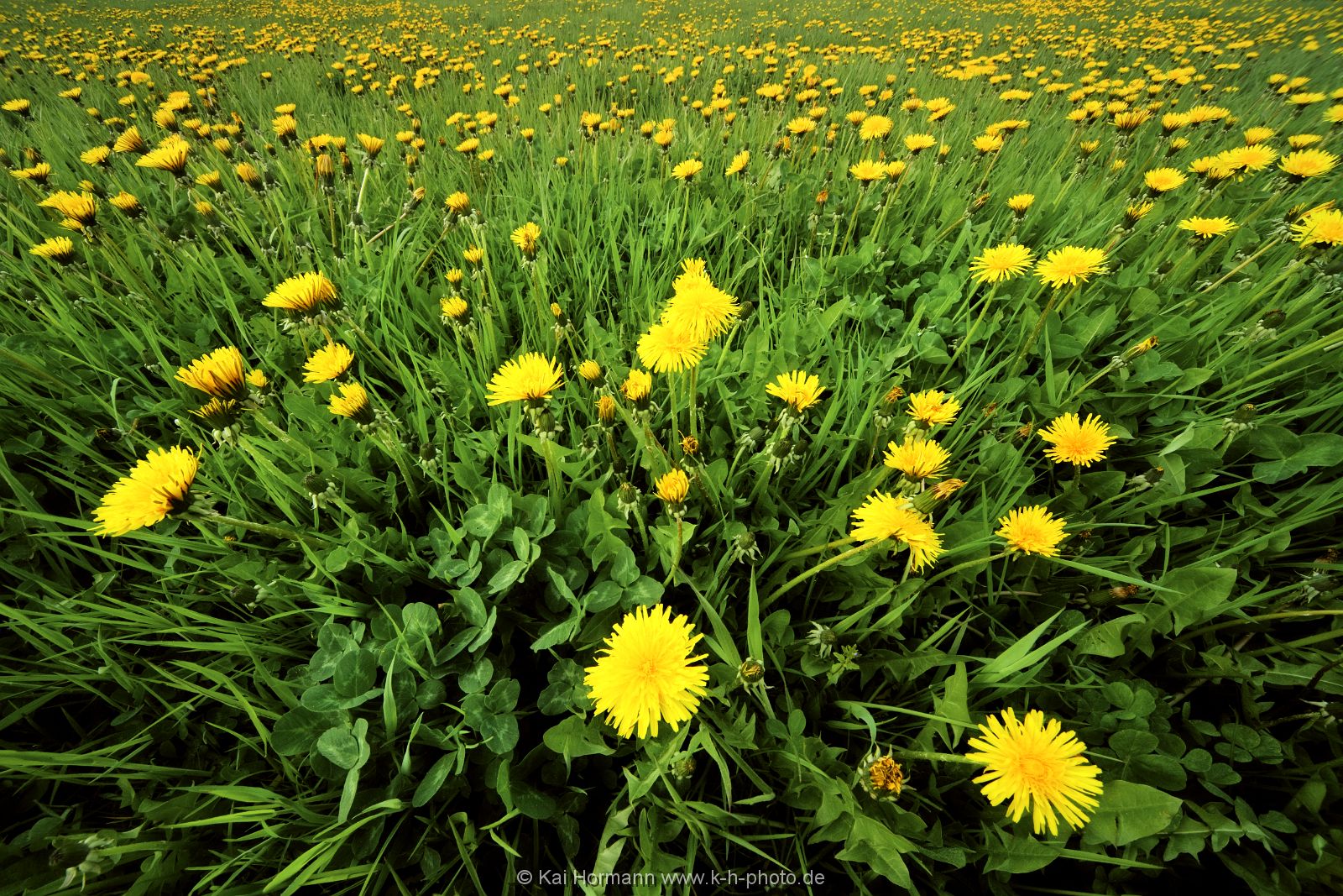 diverses-023 Diverse Natur und Landschaftsfotos.