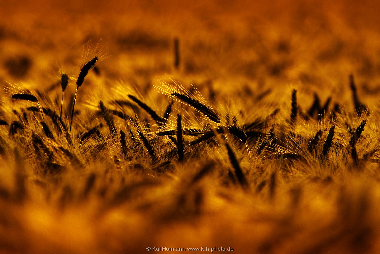 diverses-025 Diverse Natur und Landschaftsfotos.