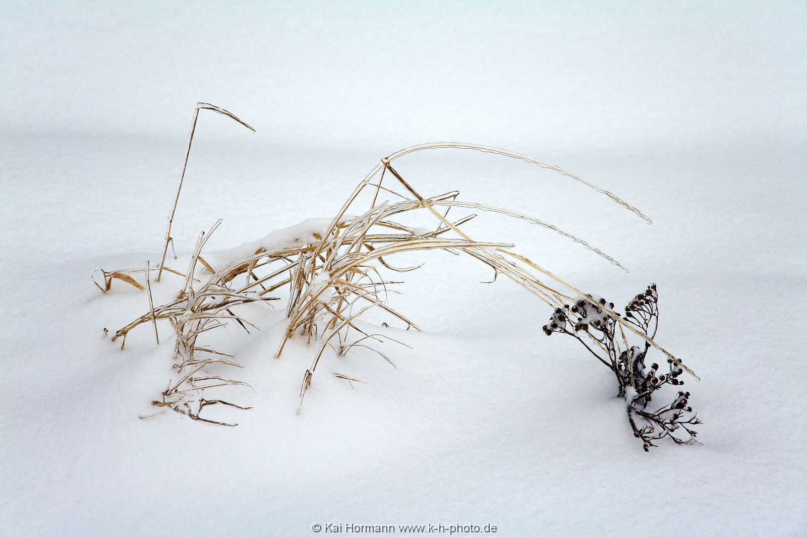diverses-026 Diverse Natur und Landschaftsfotos.