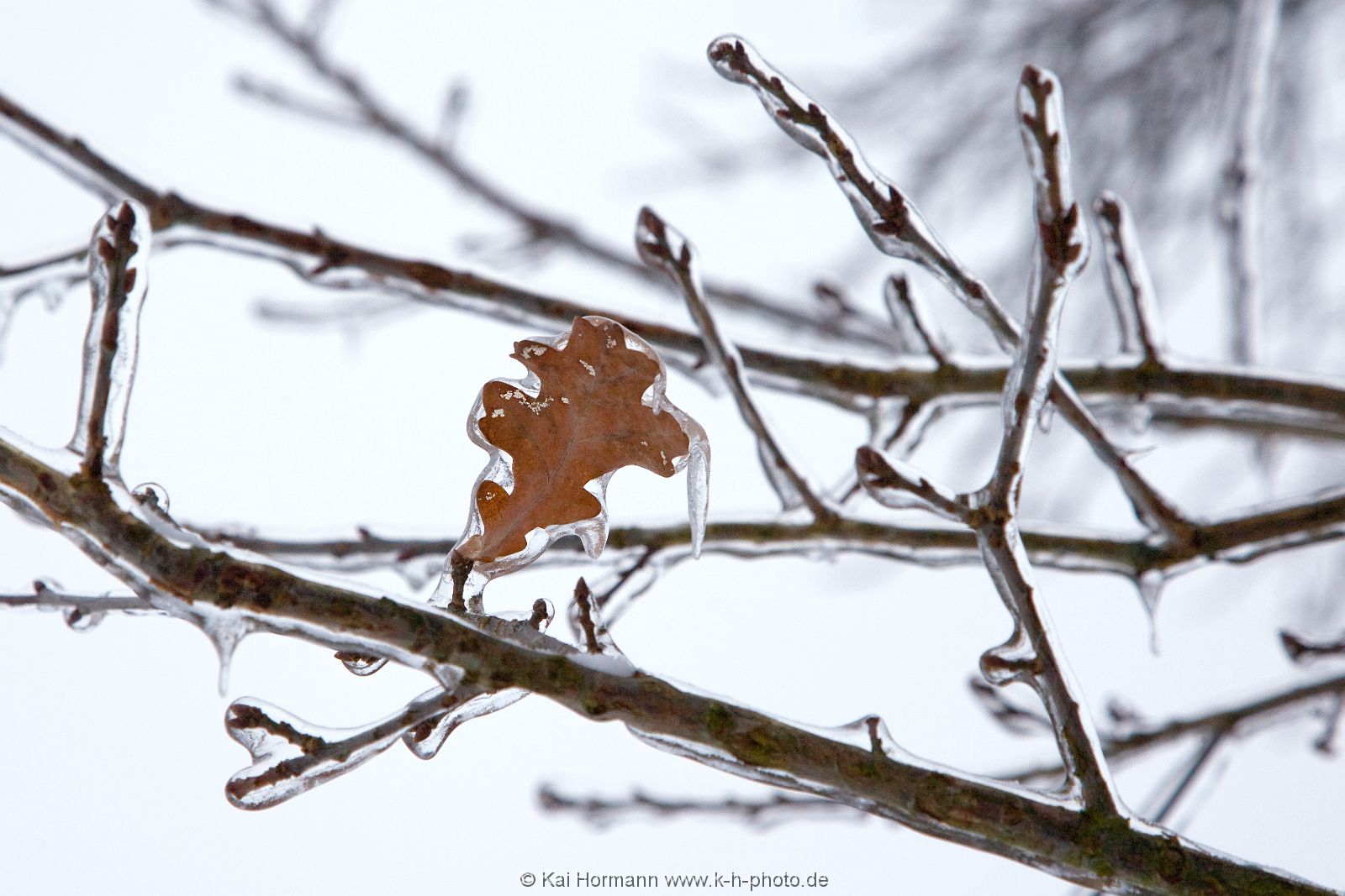 diverses-027 Diverse Natur und Landschaftsfotos.