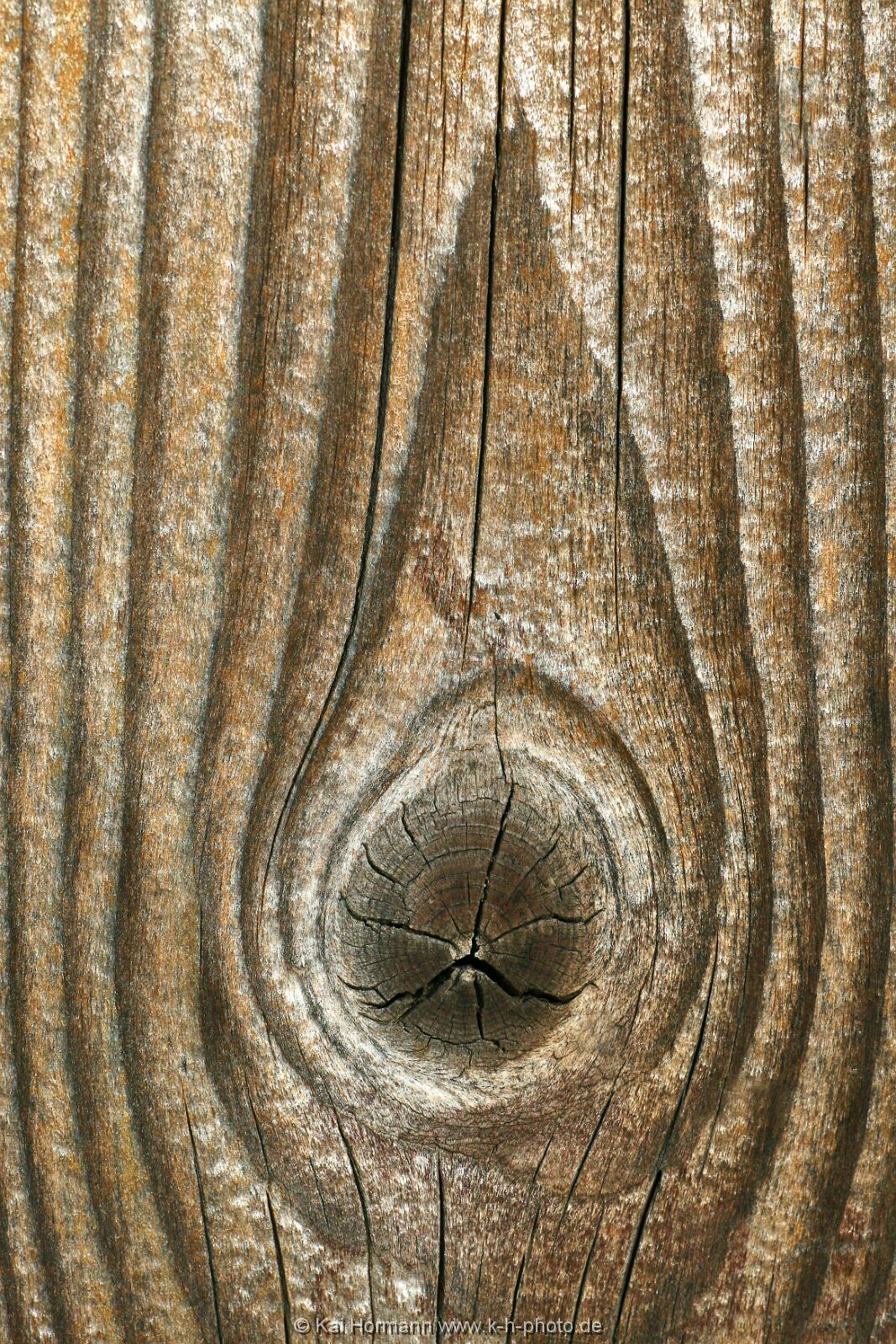 diverses-033 Diverse Natur und Landschaftsfotos.
