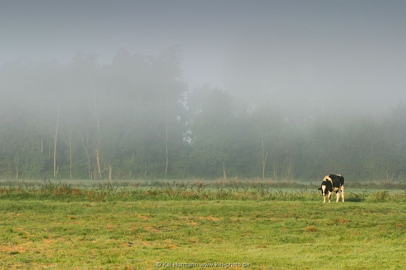 diverses-040 Diverse Natur und Landschaftsfotos.