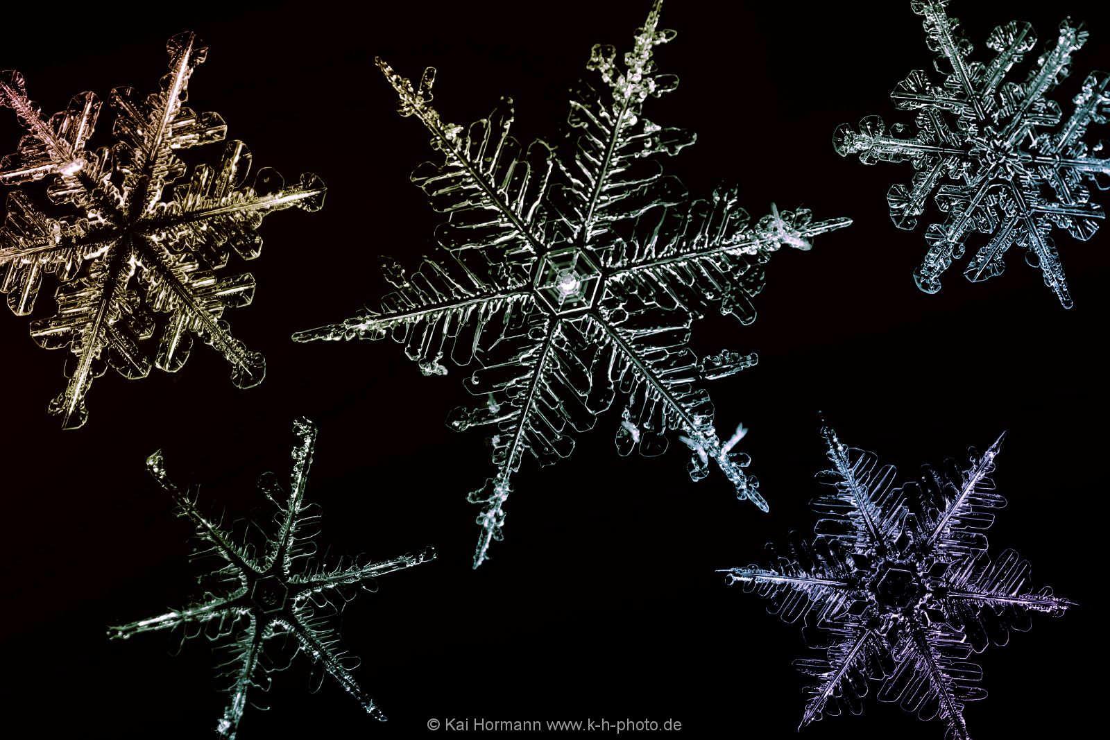diverses-042 Diverse Natur und Landschaftsfotos.