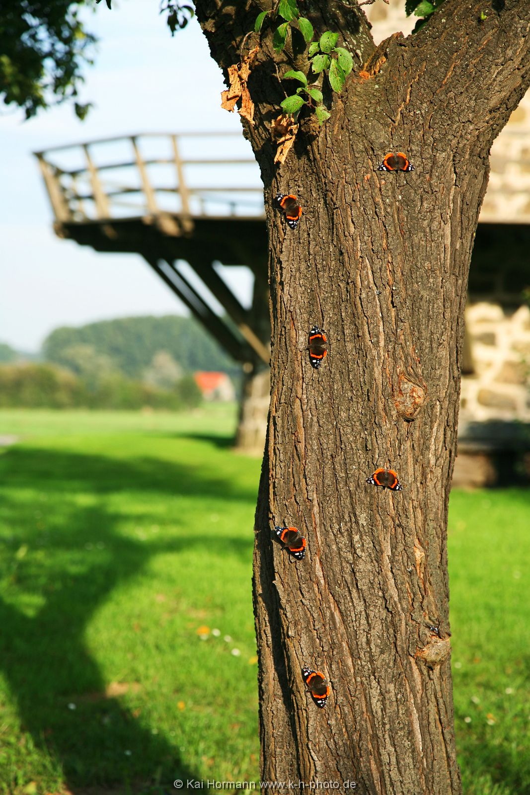 diverses-043 Diverse Natur und Landschaftsfotos.